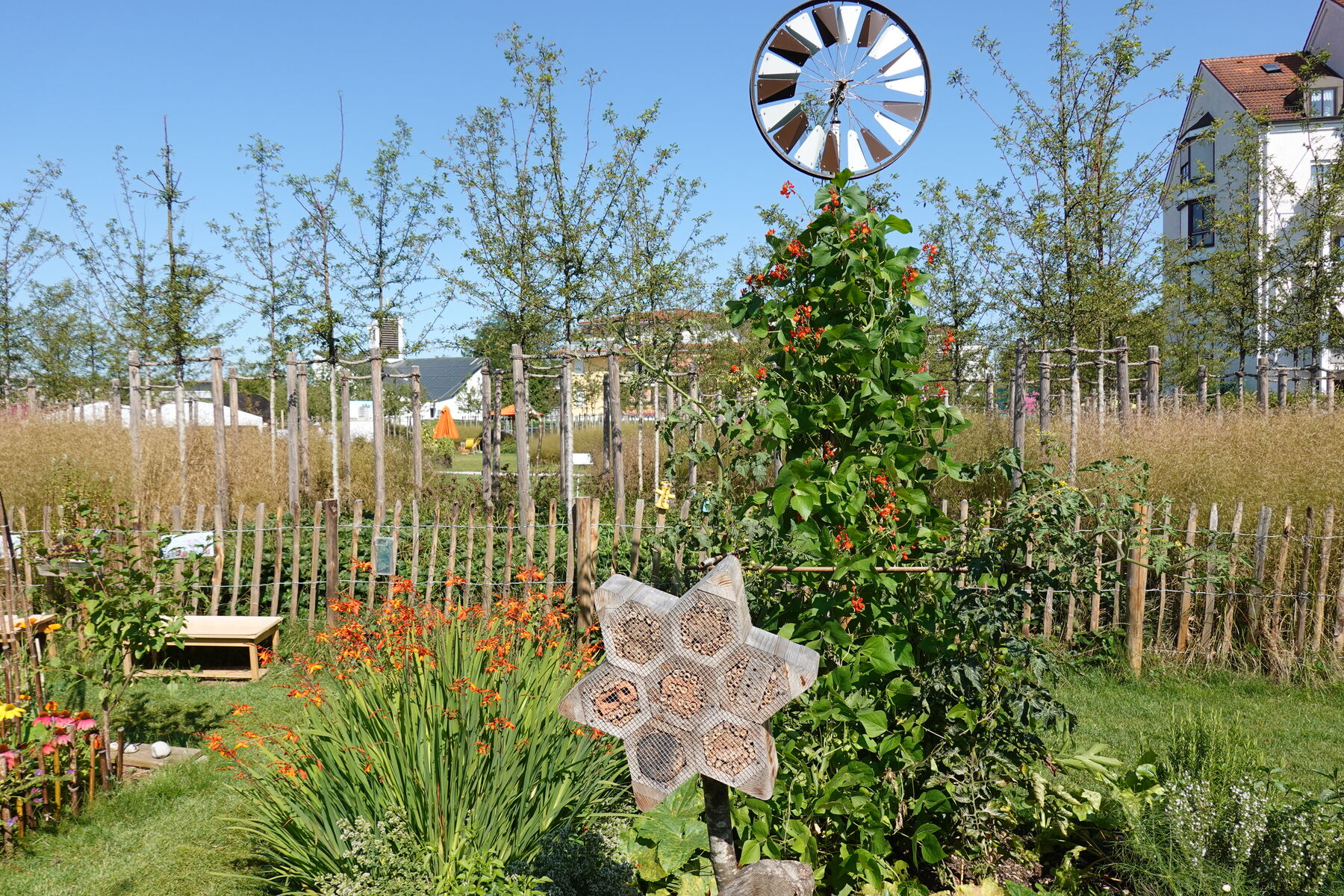 Landesgartenschau Kirchheim 2024 — Übersicht des Gartenschau-Geländes